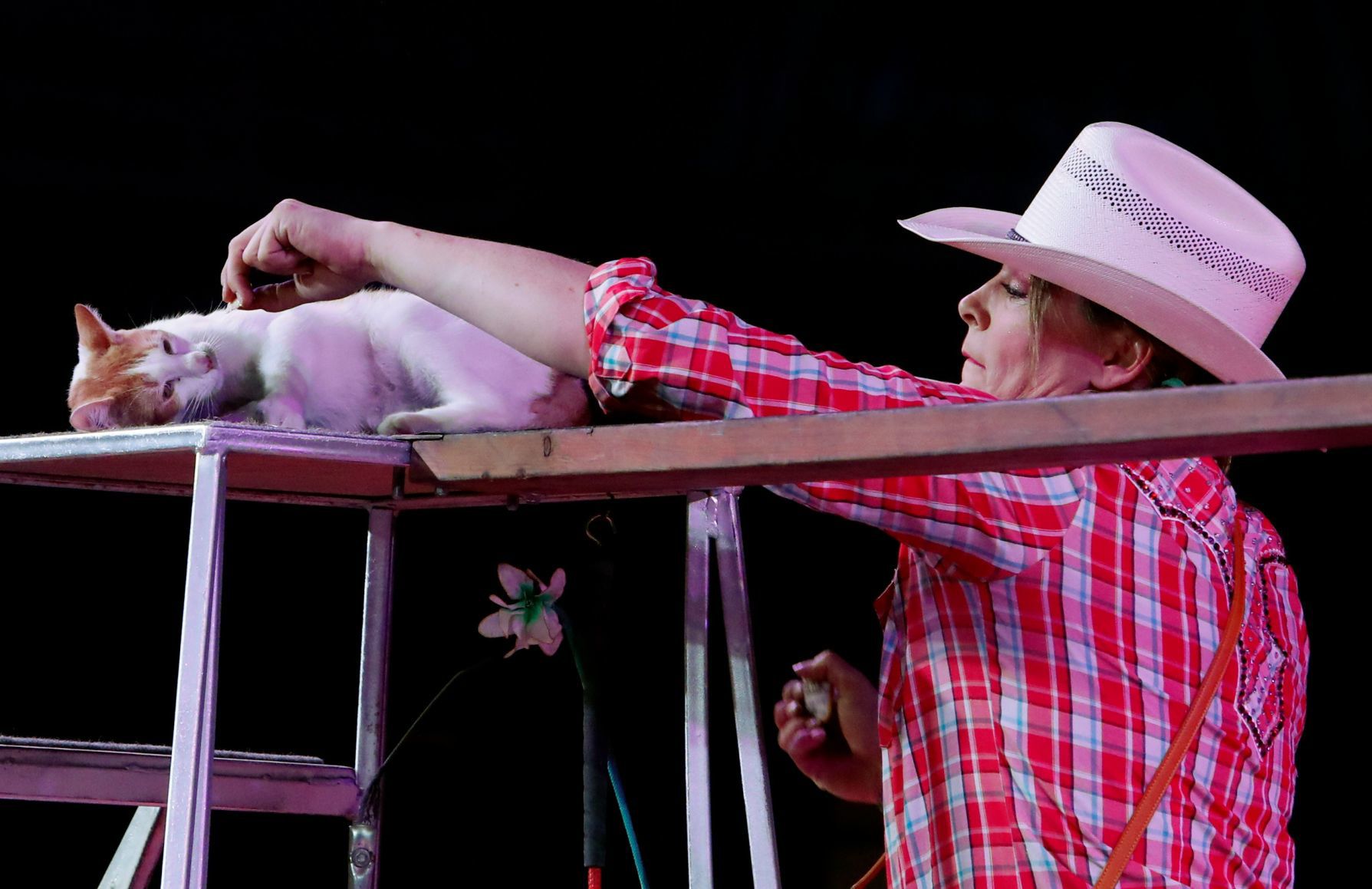 Al Bedoo Shrine Circus